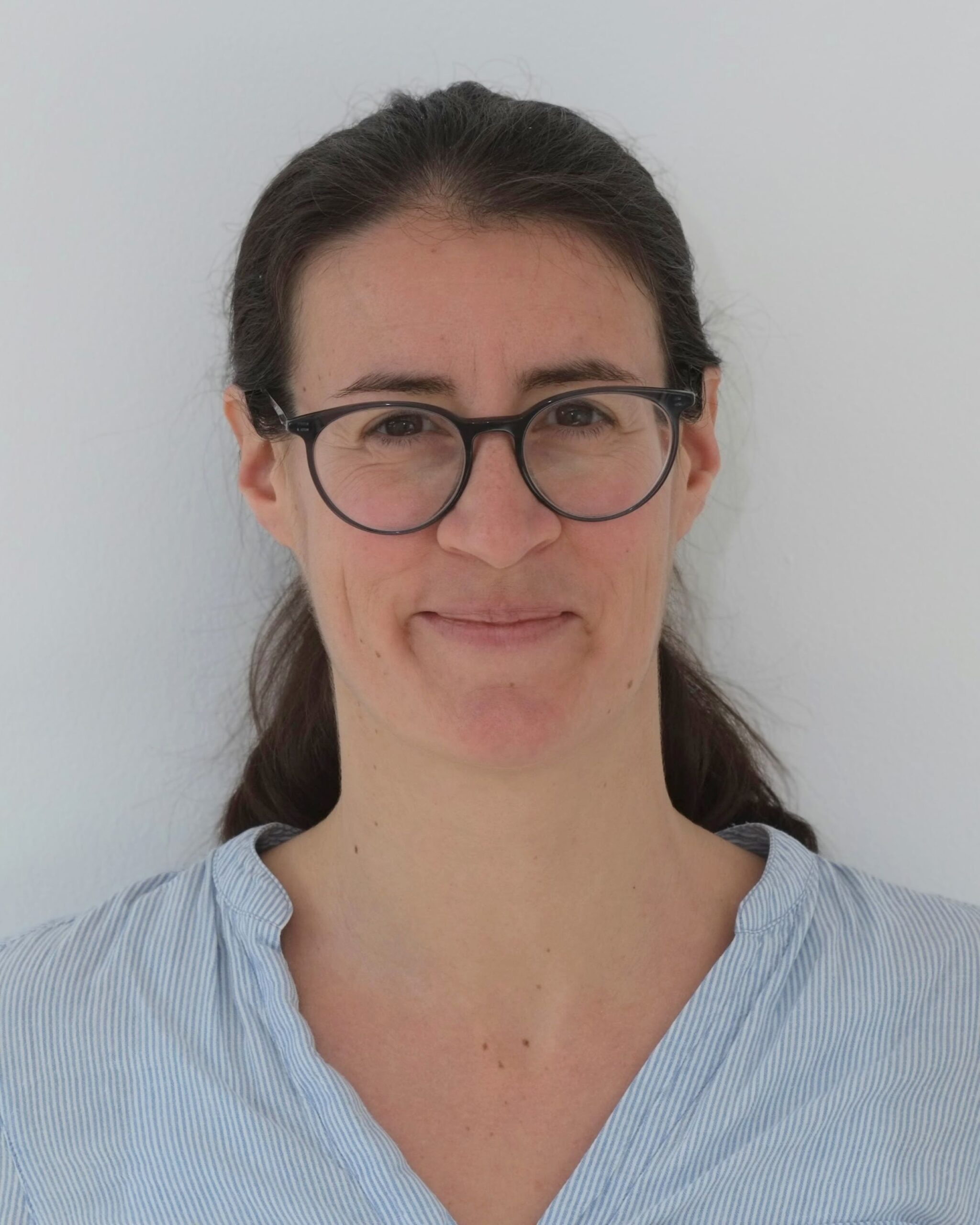 AIP-Allgemeine Ingenieurprojektierung G.m.b.H aus Wals in Oberösterreich